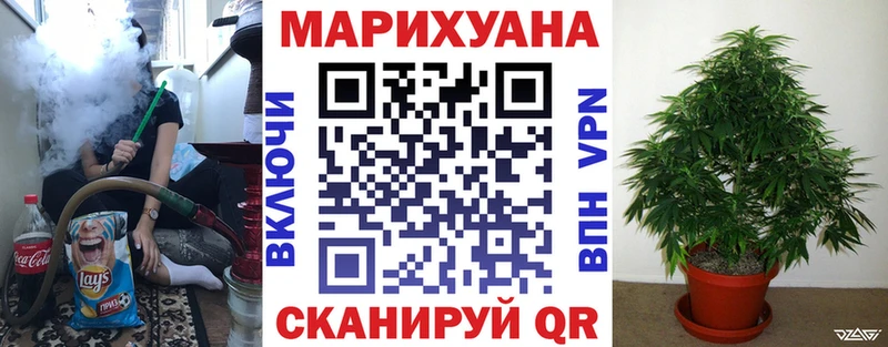 Купить закладки  Бобров  Бошки Шишки OG Kush 